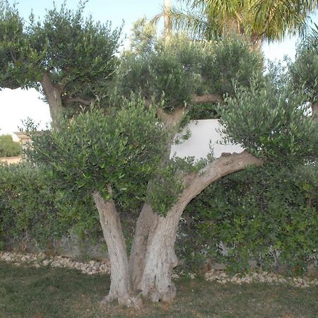 Ferienwohnung Oasi Tortuga Mazara del Vallo Exterior foto