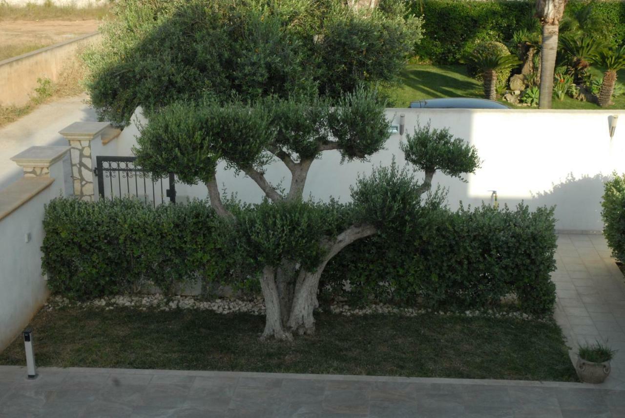 Ferienwohnung Oasi Tortuga Mazara del Vallo Exterior foto